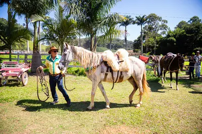 Cavalgada das Patroas 2026 - foto 179
