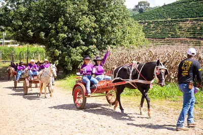 Cavalgada das Patroas 2026 - foto 879